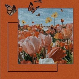 Meet your Posher, Kellyann